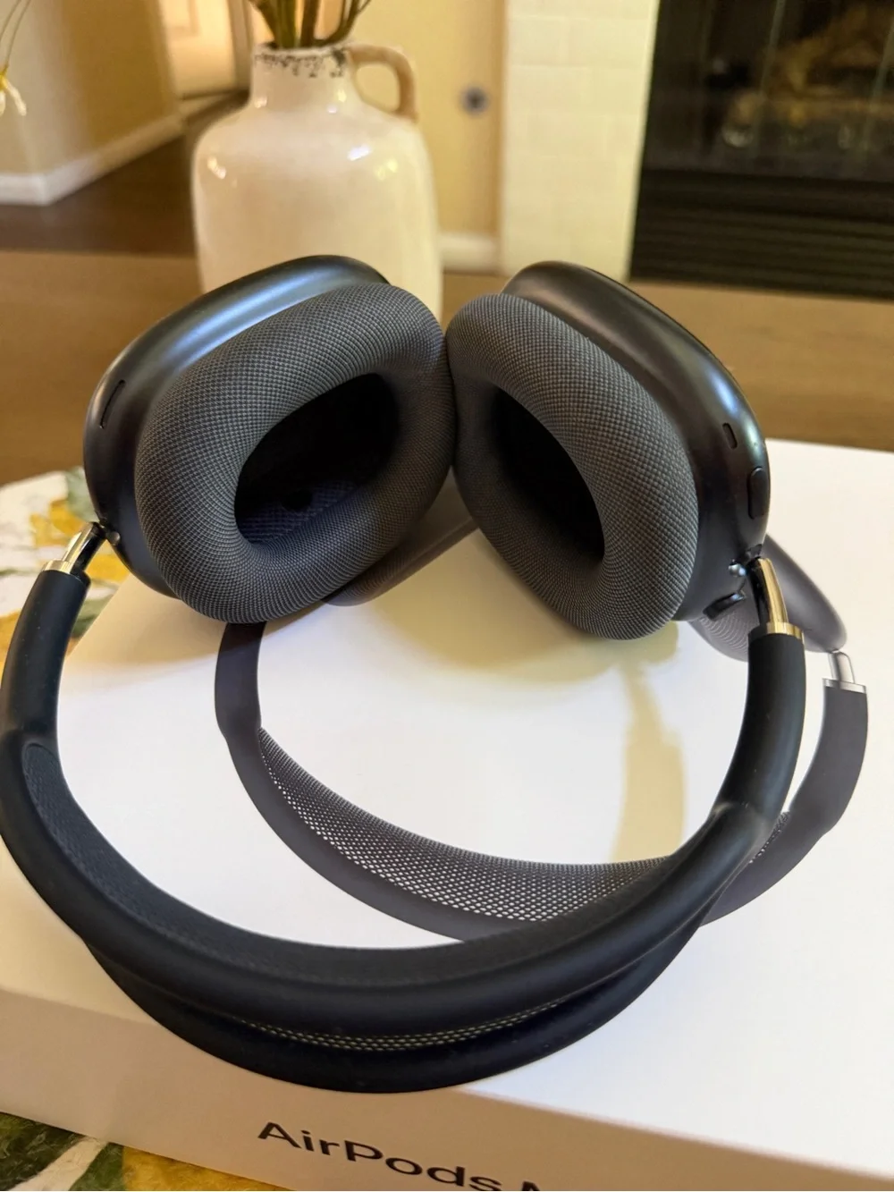 Apple AirPods Max in Space Gray with Black Case and White Cable